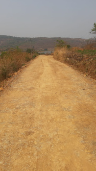 Property for sale in Pavana Lake, Pune