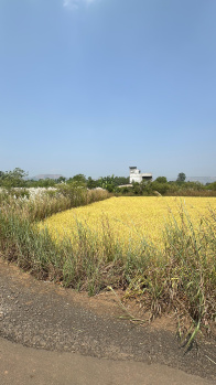 11 Guntha Residential Plot for Sale in Lonavala, Pune