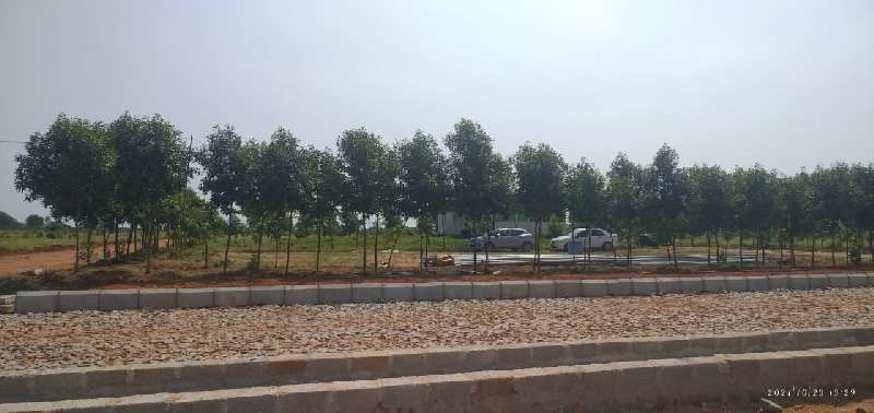 605 Sq. Yards Agricultural/Farm Land for Sale in JP Darga, Hyderabad