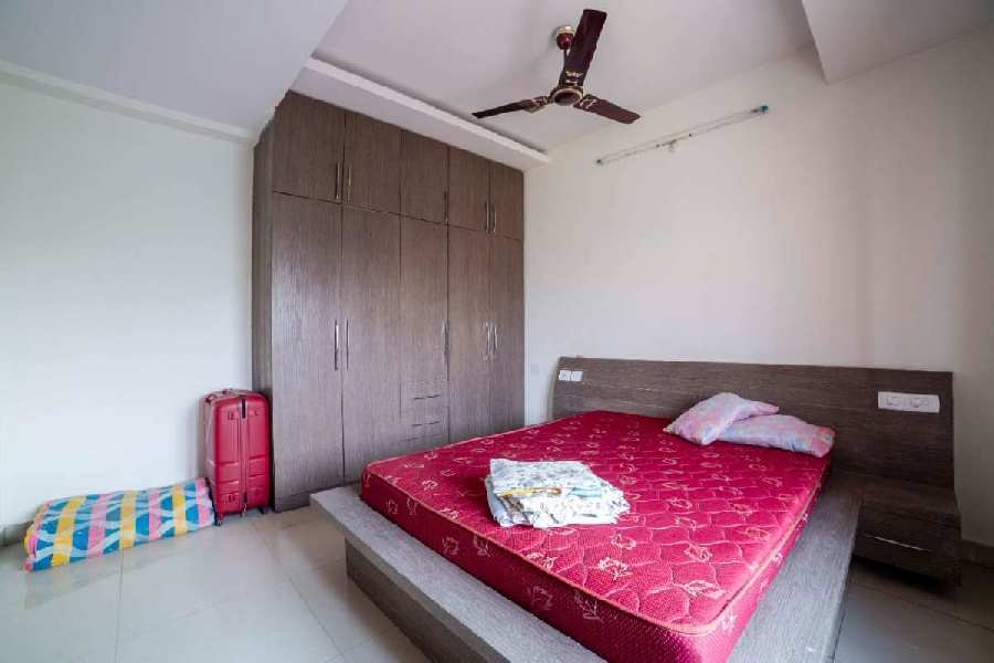 3bhk Fully Furnished Flat for rent in Madhapur, Hyderabad