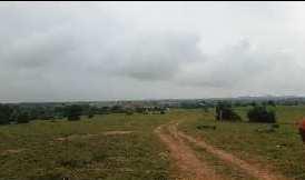 50 Acre Agricultural/Farm Land for Sale in Kadthal, Hyderabad