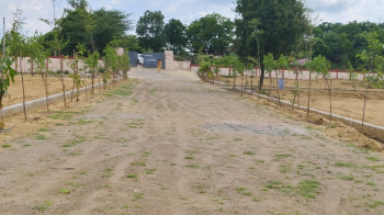 Farm House for Sale in Kalwar Road, Jaipur (5000 Sq. Yards)