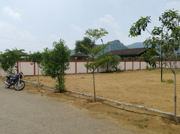 Agricultural/Farm Land for Sale in Kalwar Road, Jaipur (1000 Sq. Yards)
