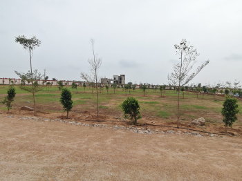 Agricultural/Farm Land for Sale in Jobner, Jaipur (600 Sq. Yards)