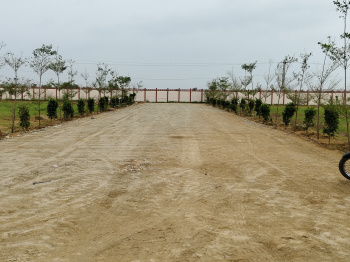 Agricultural/Farm Land for Sale in Kalwar Road, Jaipur (600 Sq. Yards)