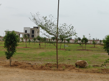 Agricultural/Farm Land for Sale in Ajmer Road Ajmer Road, Jaipur (1500 Sq. Yards)