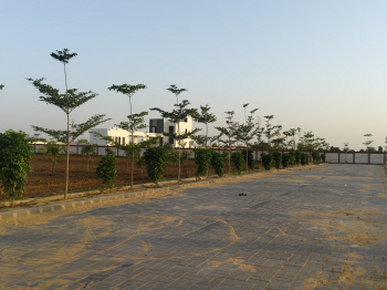 Farm House for Sale in Kalwar Road, Jaipur (1000 Sq. Yards)