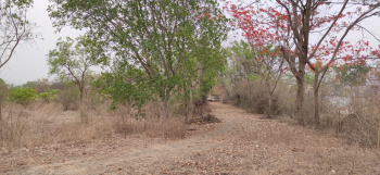 Commercial Lands /Inst. Land for Rent in Wakad, Pune (10000 Sq.ft.)