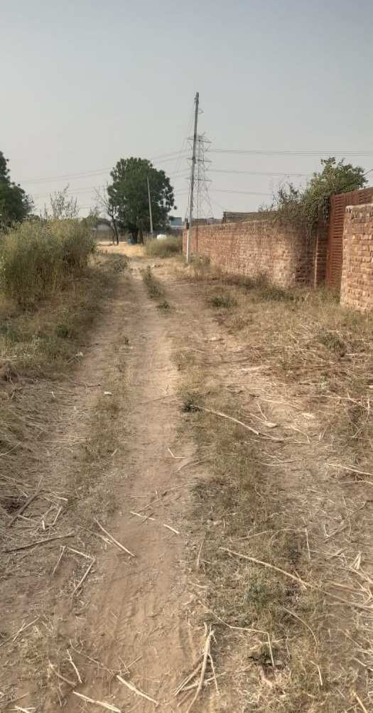1210 Yard Land For sale in Sohna Road Gurgaon Farm House And investment Purpose Near Bhondsi Village