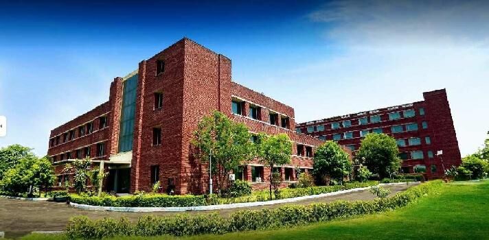 1210 Yard Land For sale in Sohna Road Gurgaon Farm House And investment Purpose Near Bhondsi Village