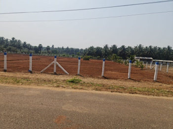 1 ACRE AGRICULTURE LAND FOR SALE ON MAIN METAL ROAD NEAR SECTOR 29 SOHNA