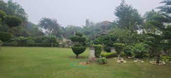 1000 Yard Plot in Bhelpa Green Valley Scheme Near Gurgaon Sohna Road