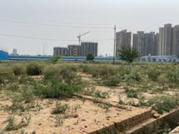 10 Acre Residential Land For Sale In  Sector 6 Palwal