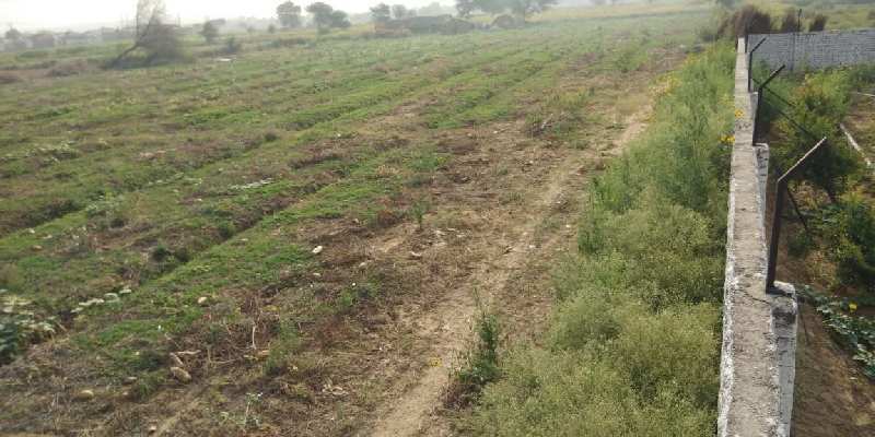 600 Yard Farm Land For Sale Sohna Road Gurgaon Near Upcoming 200 Feet Wide Road