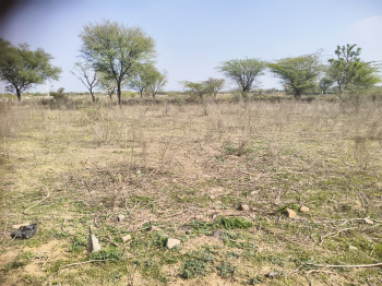 Residential Plot for Sale in Vaishali Nagar, Ajmer (333 Sq. Yards)