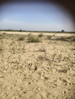 Residential plot Prithviraj Nagar Ajmer