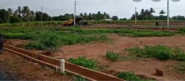 Agriculture land