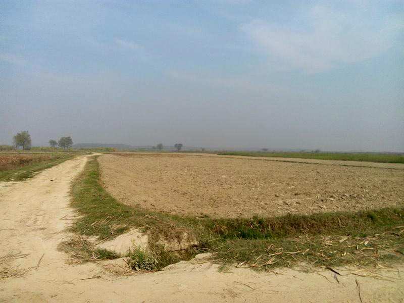 Residential Plot for Sale in Sector 9, Bahadurgarh (500 Sq. Yards)