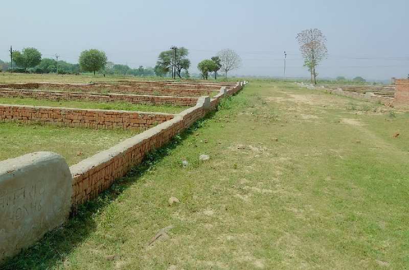 115 Sq. Yards Residential Plot for Sale in Sector 11, Bahadurgarh