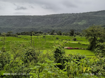 2000 Sq.ft. Agricultural/Farm Land For Sale In Pen, Raigad