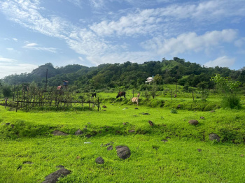 Property for sale in Pen, Raigad