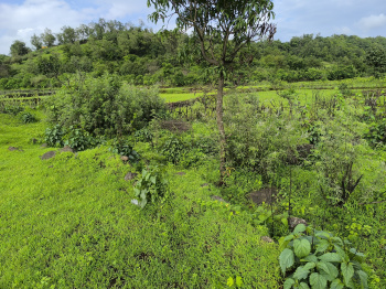 Property for sale in Pen, Raigad