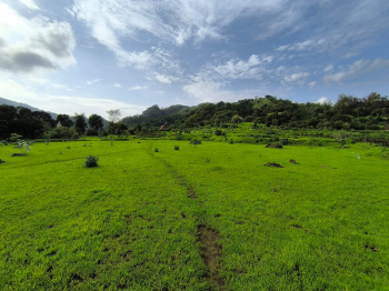 MOUNTAIN VIEW FARMHOUSE PLOT FOR SALE CHOWK PANVEL
