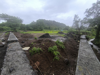 BUNGLOW FARMHOUSE PLOT FOR SALE