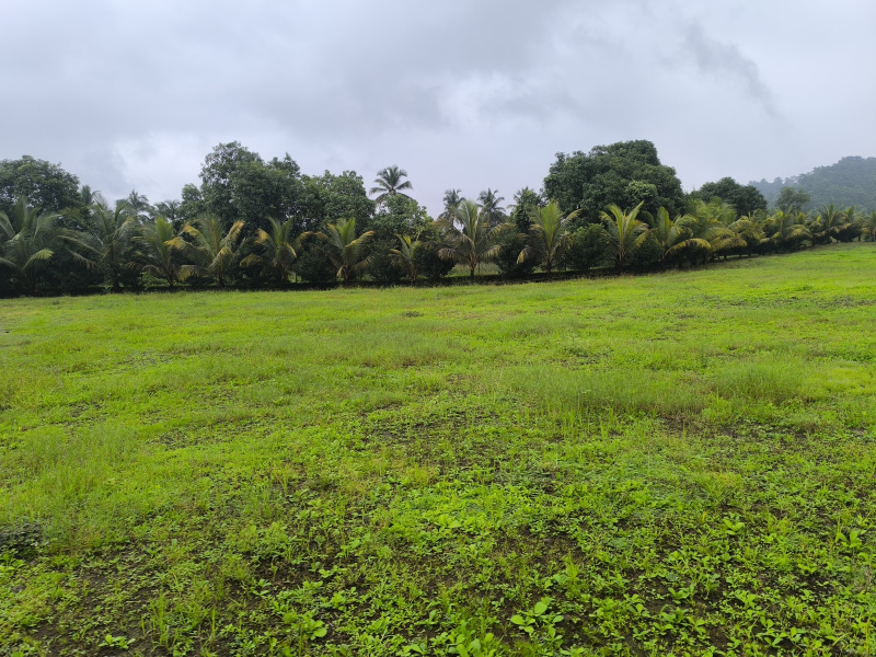 FARMHOUSE PLOT FOR SALE NEAR HETAWANE DAM