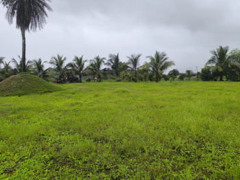 FARMHOUSES AND RESIDENTIAL PLOT FOR SALE IN PEN