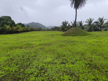 RESIDENTIAL PLOT FOR SALE IN VINDHANE