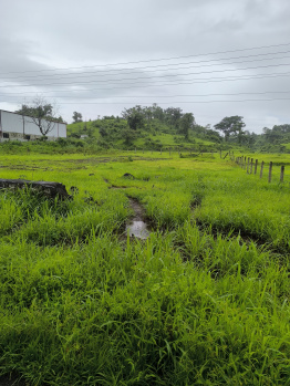 NATURE VIEW BUNGLOW FARMHOUSE PLOT FOR SALE
