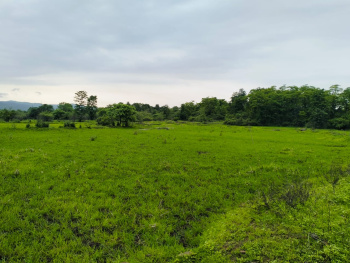 KSC NEW TOWN PLOT FOR SALE IN VINDHANE VILLAGE