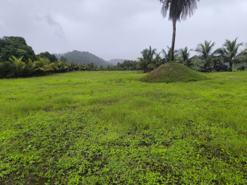 MAHAMUMBAI PLOT FOR SALE IN VINDHANE