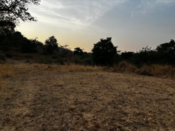 Residential Plot for Sale in Pali, Raigad (6 Acre)