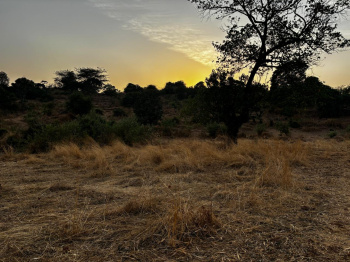 Property for sale in Pali, Raigad