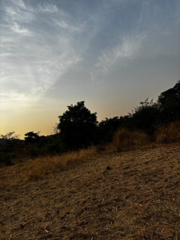 Property for sale in Pali, Raigad