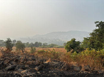 Property for sale in Pali, Raigad