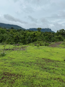 Property for sale in Waje, Raigad