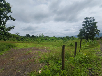 Property for sale in Waje, Raigad