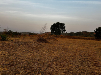 Residential Plot for Sale in Vindhane, Navi Mumbai (21000 Sq.ft.)