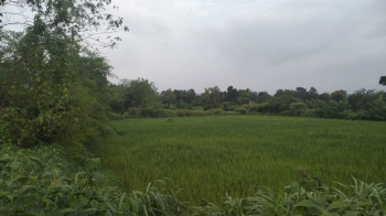 Residential Plot for Sale in Waje, Navi Mumbai (20000 Sq.ft.)
