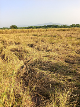 RESIDENTIAL ZONE PLOT FOR SALE