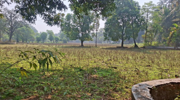 Residential Plot for Sale in Vindhane, Navi Mumbai (23000 Sq.ft.)