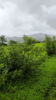 Property for sale in Uran, Raigad