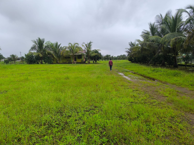 Ready to use farmhouse plot for sale