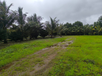 Property for sale in Mangaon, Raigad