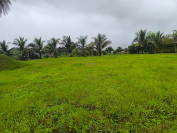 READY TO USE FARMHOUSE PLOT FOR SALE