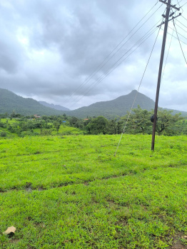 Property for sale in Sudhagad, Raigad