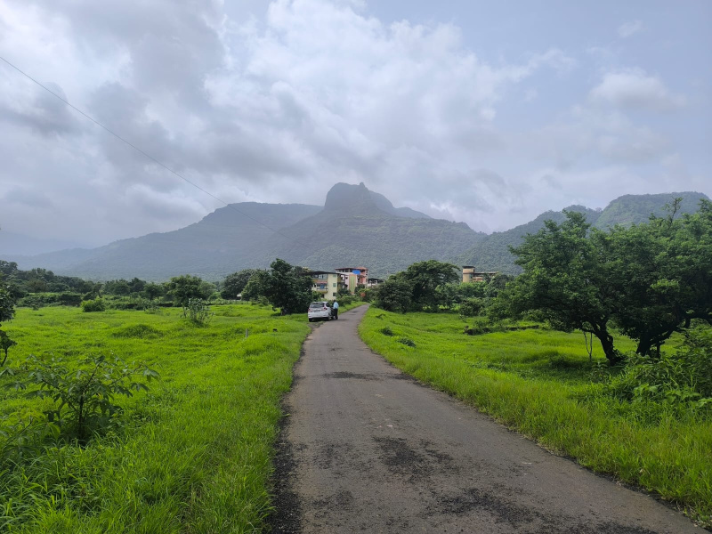 Residential Plot for Sale in Pali, Raigad (19990 Sq.ft.)